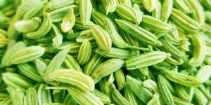 Fennel Seed