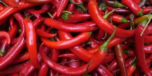Red Chili