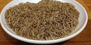Cumin Seed (Jeera)
