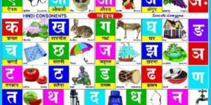 Classroom Wallcharts