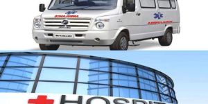 Elderly Care Services