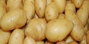 Potatoes