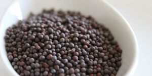 Black Mustard Seeds