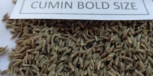 Cumin Seeds