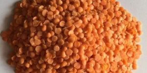 Split Red Lentils