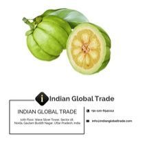 Garcinia Cambogia Extract
