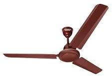 Ceiling Fans