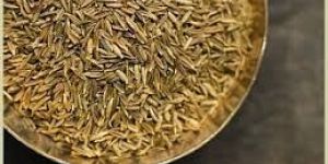 Cumin Seeds