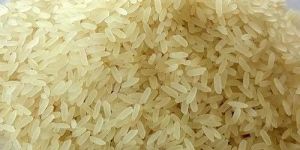 IR 36 Rice