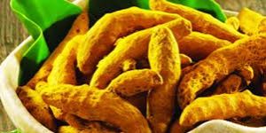 Waigaon Turmeric Finger