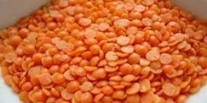 Red Lentils