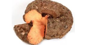 Elephant Foot Yam