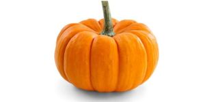 Fresh Pumkin