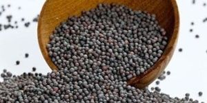 Black Mustard Seeds