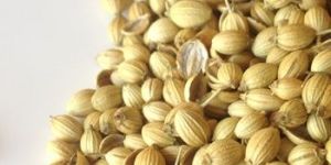 Coriander Seeds