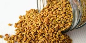 Fenugreek Seeds