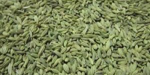 Fennel Seed