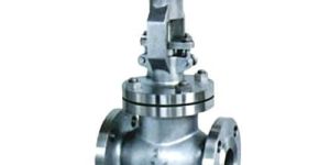 Globe Valves