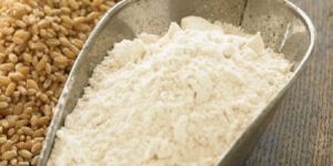 Wheat Flour