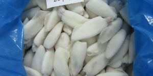 FROZEN SQUID WHOLE CLEAN