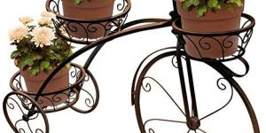 Iron Tricycle Plant Stand