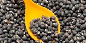 Urad Dal