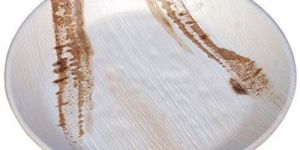 Biodegradable Areca Leaf Plate
