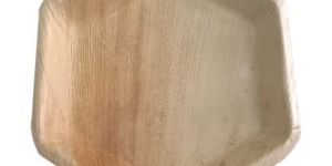 Disposable Areca Leaf Plate