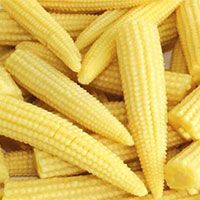 Frozen Baby Corn