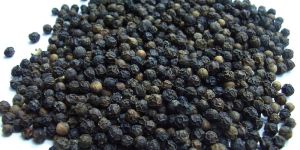 Black Pepper