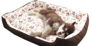 Dog Beds