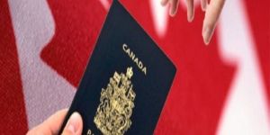 Immigration Consultants