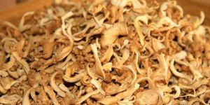 Fresh Dry Oyster Mashroom