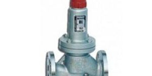 Back Flow Safety Valve
