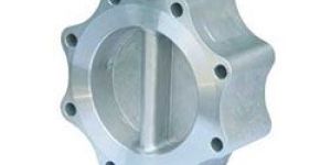 Integrated Lug Check Valve