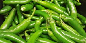 Fresh Green Chilli