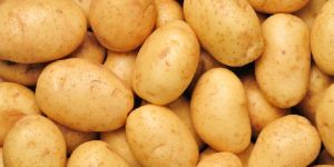 Fresh Potato