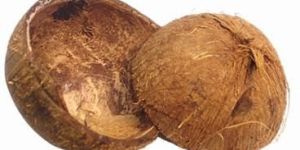 Coconut Shells