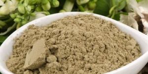 Moringa Seeds Powder