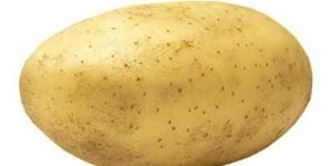 Potato