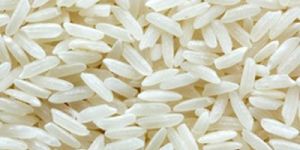 1121 White Sella Rice