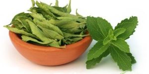 Stevia Leaves
