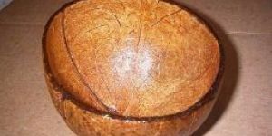 Coconut Shell