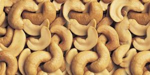 Cashew Nut