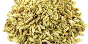 Fennel Seeds