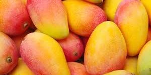 Fresh Mango