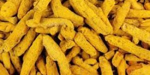 Turmeric Finger