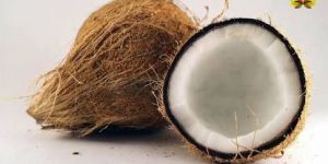 Husked Coconut