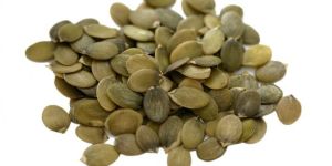 Pumpkin Seed