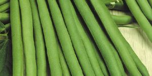 French Beans